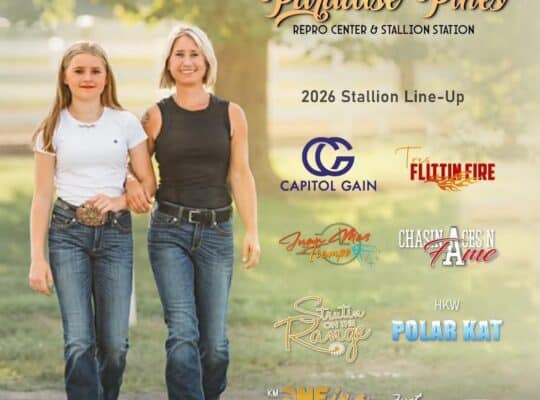 Breeding and Mare Care