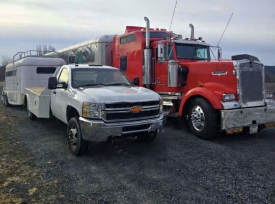 WHR Equine Services LLC