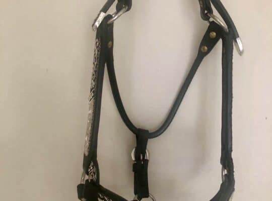 Dale Chavez Silver Halter