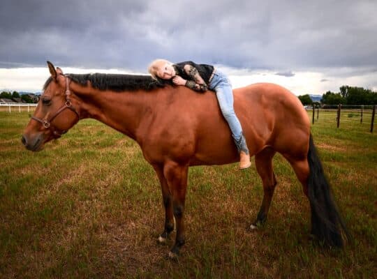 Kid & Novice Friendly All-Around Mare