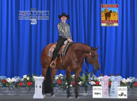 Kid & Novice Friendly All-Around Mare