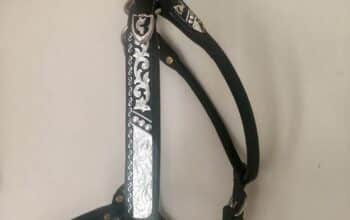 Dale Chavez Silver Halter
