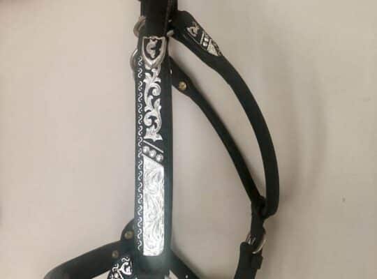 Dale Chavez Silver Halter