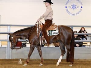 Double AQHA/APHA Extremely Hot Chips Mare