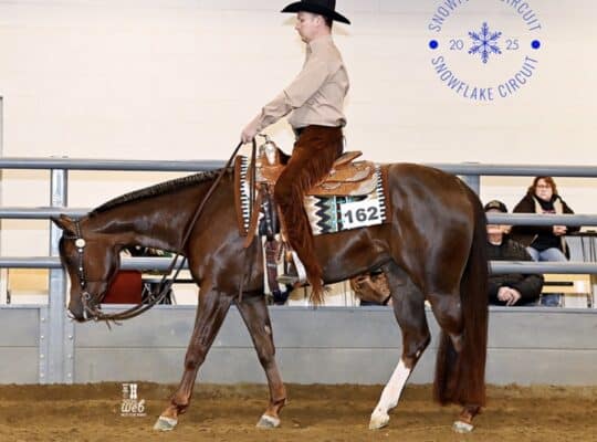 Double AQHA/APHA Extremely Hot Chips Mare