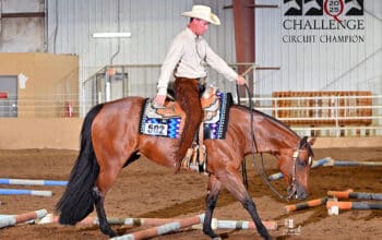Machine Made All-Around Mare