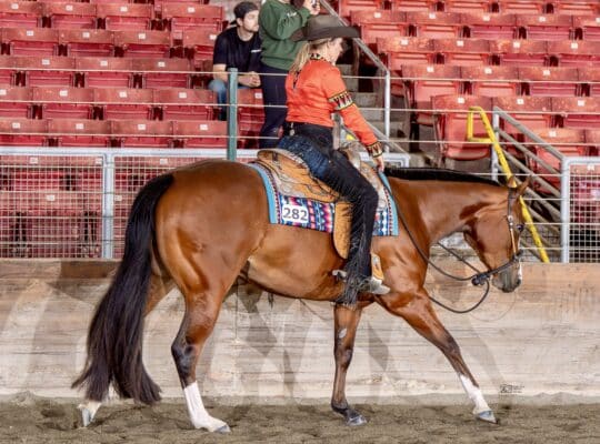 Lazy Loper 3YO All-Around Mare