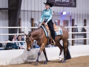 All around VS CODE RED 3 YO Mare