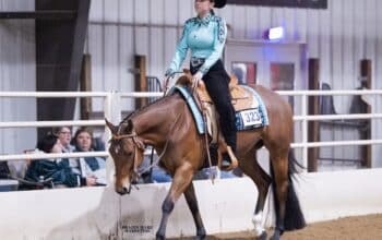 All around VS CODE RED 3 YO Mare