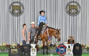 NSBA World Champion Machine Made Mare
