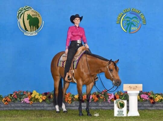 NSBA World Champion Machine Made Mare