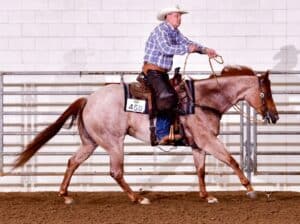 Fancy Red Roan Ranch Rider
