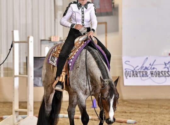 Elite VS Code Red All-Around Gelding
