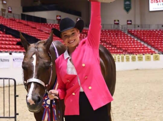 Novice Friendly Elite All-Around Mare
