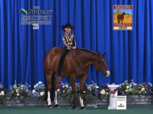 Top All-Around Gelding