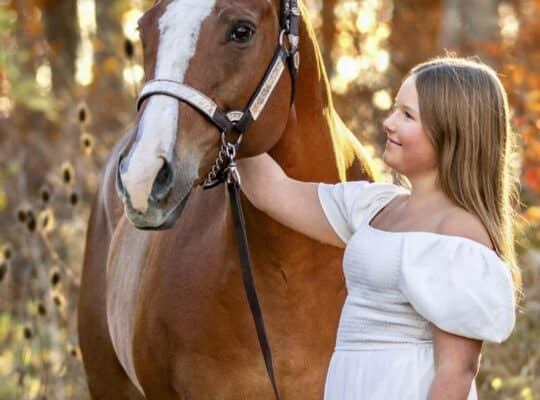 The Lopin Machine All-Around Gelding