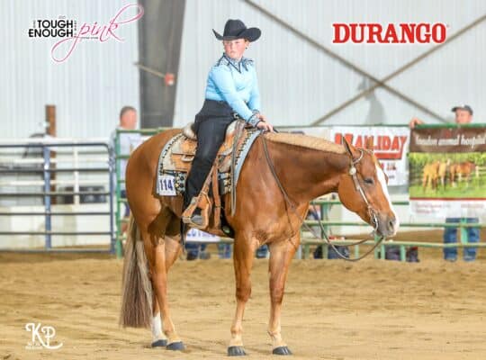 The Lopin Machine All-Around Gelding