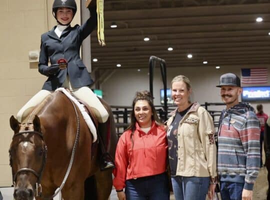 Fancy Kid Friendly All Around Gelding