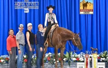 Fancy Kid Friendly All Around Gelding