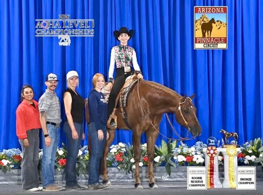 Fancy Kid Friendly All Around Gelding