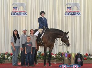 HOO x AYA English All-Around Gelding
