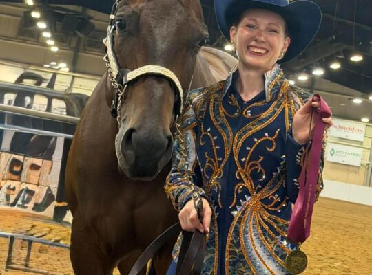 User Friendly All-Around Gelding