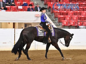 Double AQHA/APHA True All-Around Gelding