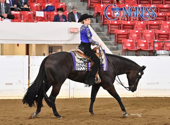 Double AQHA/APHA True All-Around Gelding