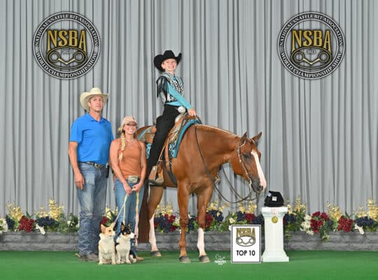 VS Code Blue x Lazy Loper All-Around Gelding