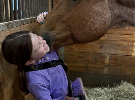 NSBA Res. WC Roan All-Around Gelding