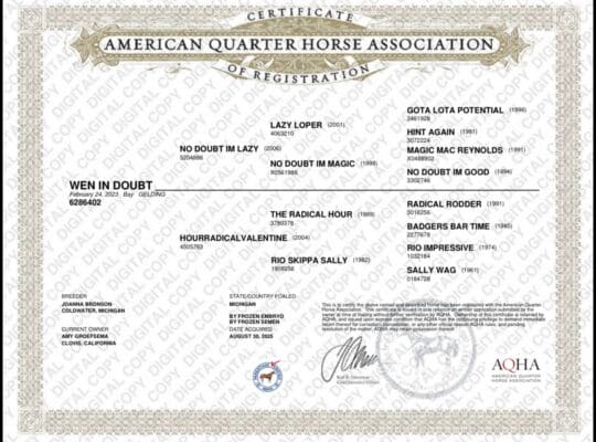 AQHA/APHA/ABRA All-Around Prospect
