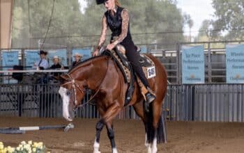 AQHA/APHA/ABRA All-Around Prospect