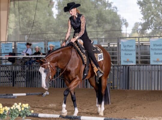 AQHA/APHA/ABRA All-Around Prospect