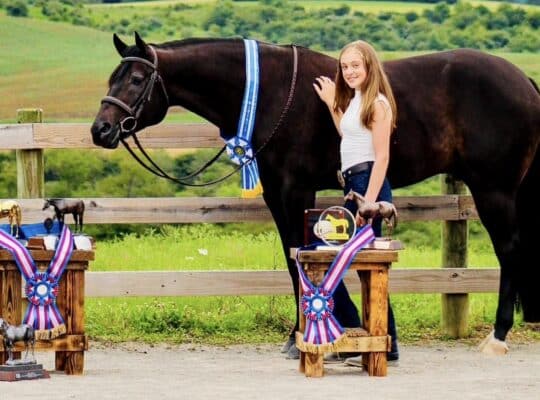 Congress Champion All-Around Gelding