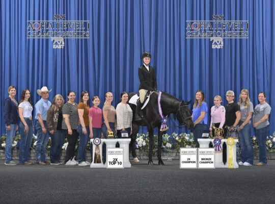 Congress Champion All-Around Gelding