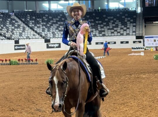 Proven How Bout This Cowboy All-Around Mare