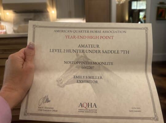 Double AQHA/APHA True All-Around Gelding