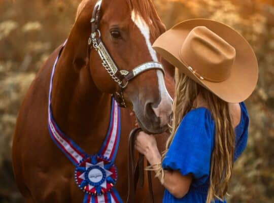 Proven How Bout This Cowboy All-Around Mare