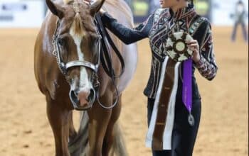 Proven How Bout This Cowboy All-Around Mare