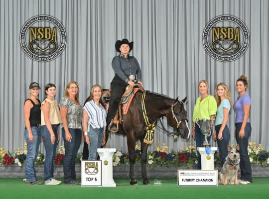 Double AQHA/APHA True All-Around Gelding